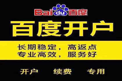 百度搜索结果优化：SEO推广的经典案例